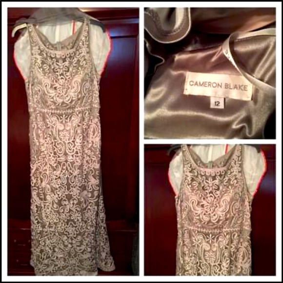 CAMERON BLAKE Formal Gown Gray Lace. Sz 12 - Picture 1 of 1